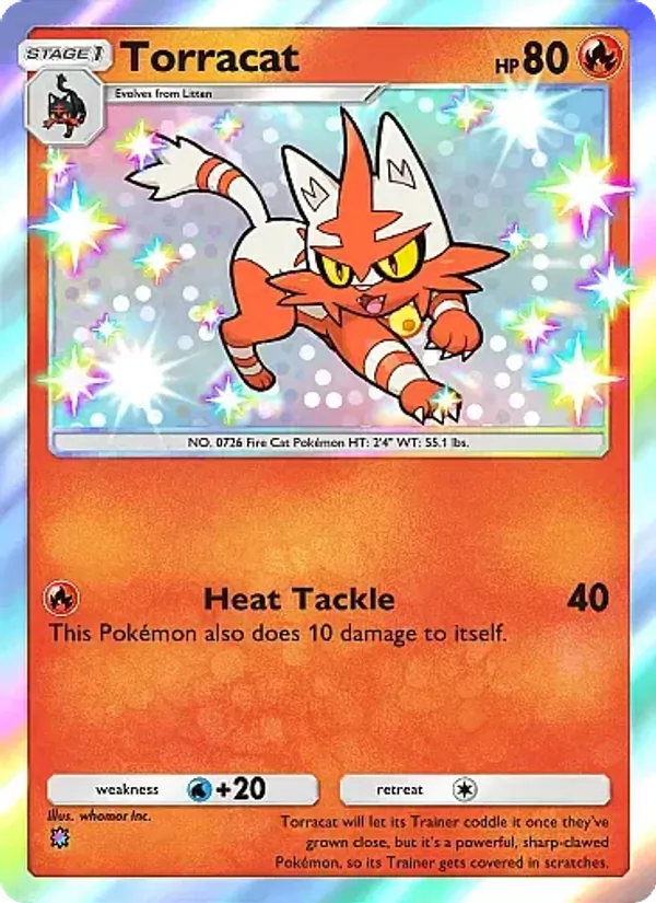 Torracat