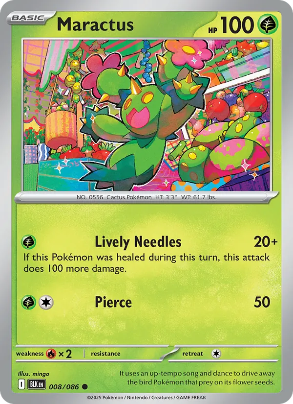 Maractus