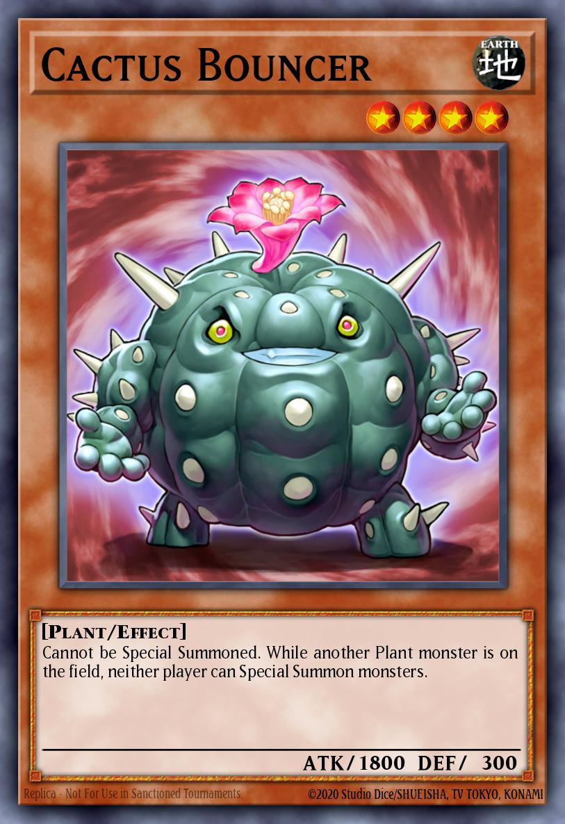 Cactus Bouncer