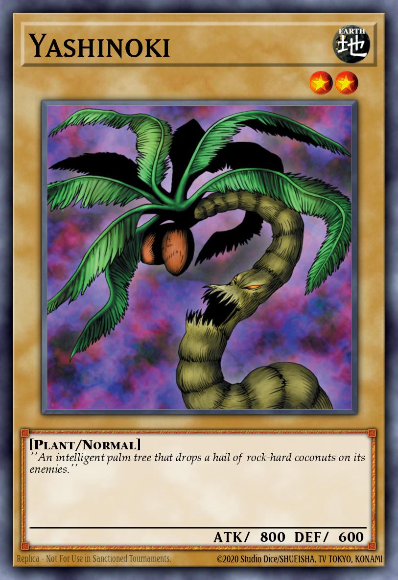 Yashinoki
