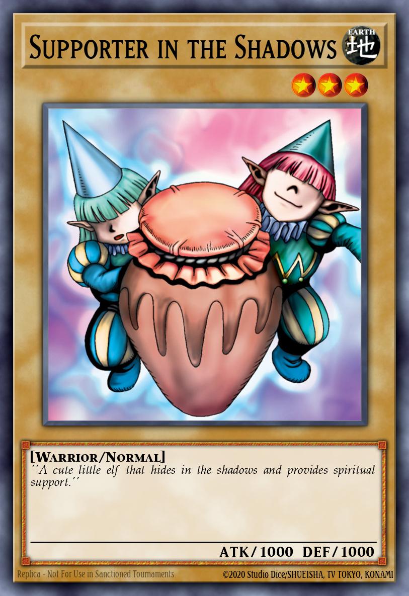 Supporter in the Shadows