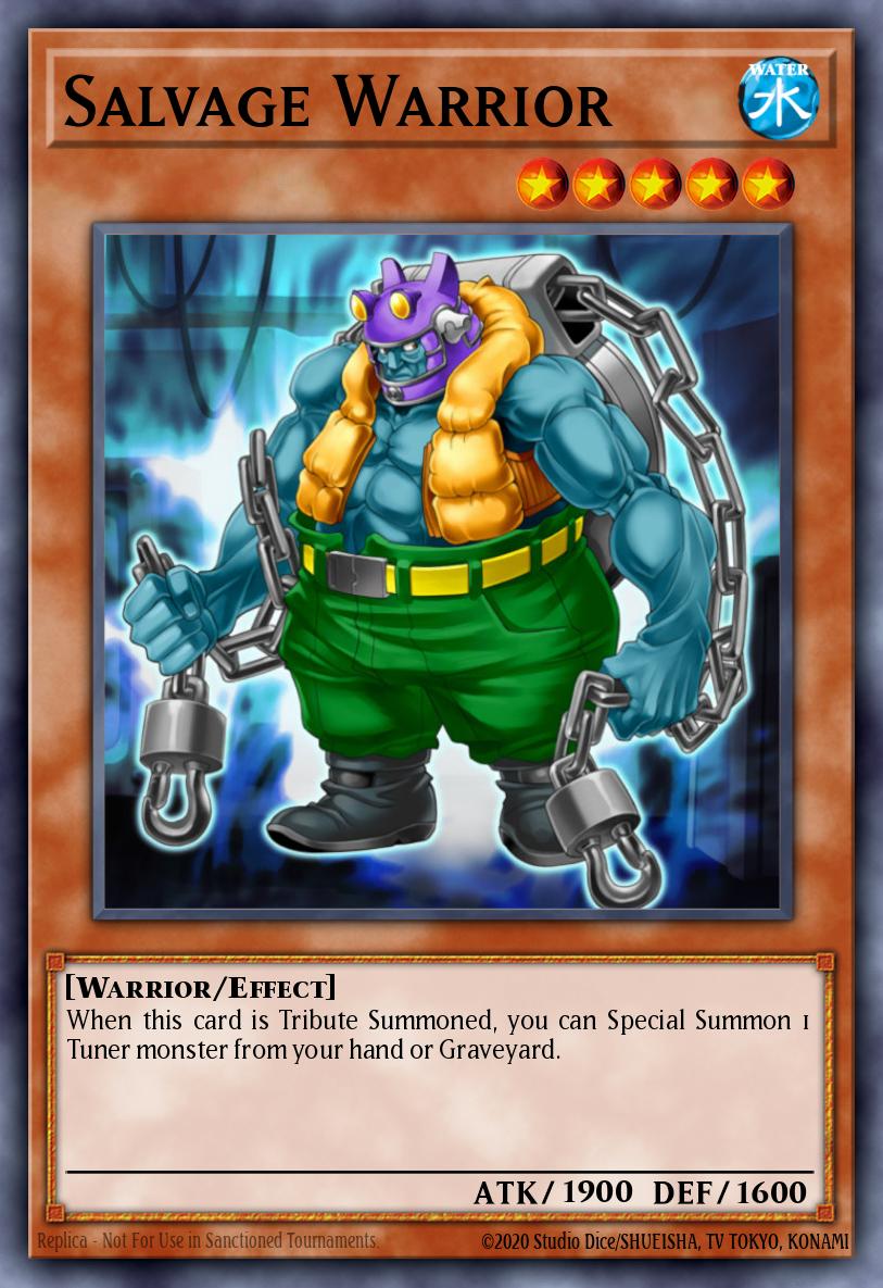 Salvage Warrior