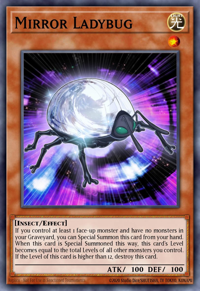 Mirror Ladybug