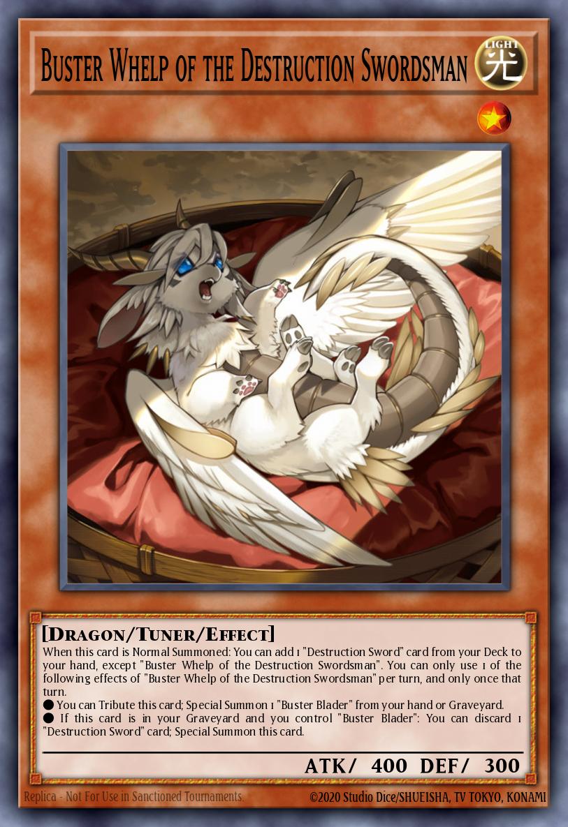 Buster Whelp of the Destruction Swordsman