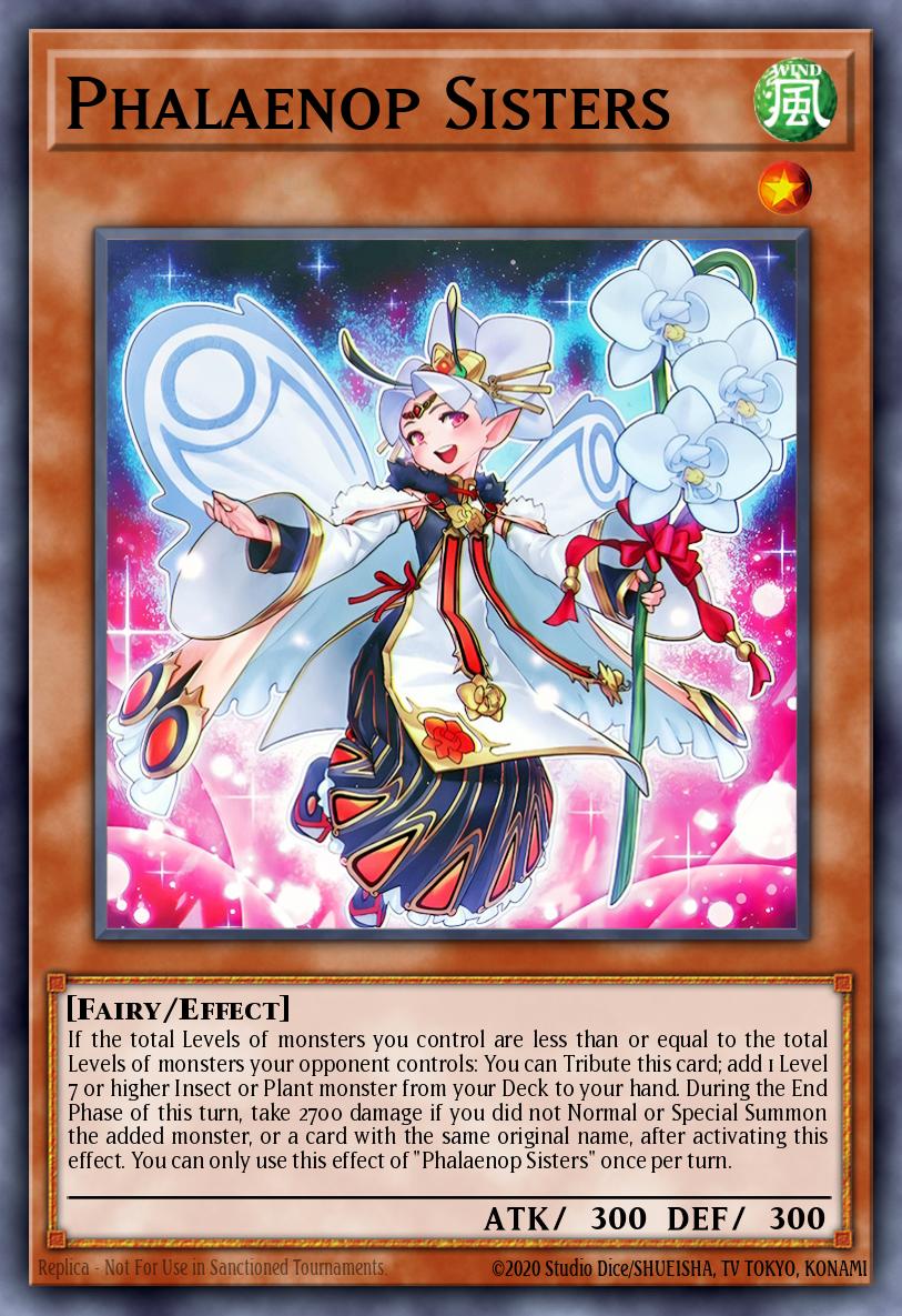 Phalaenop Sisters